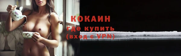 PSILOCYBIN Армянск