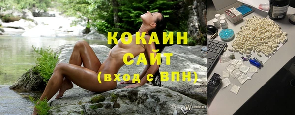 PSILOCYBIN Армянск